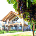 Tasting Room view from beautiful vineyard - Augusta Vin