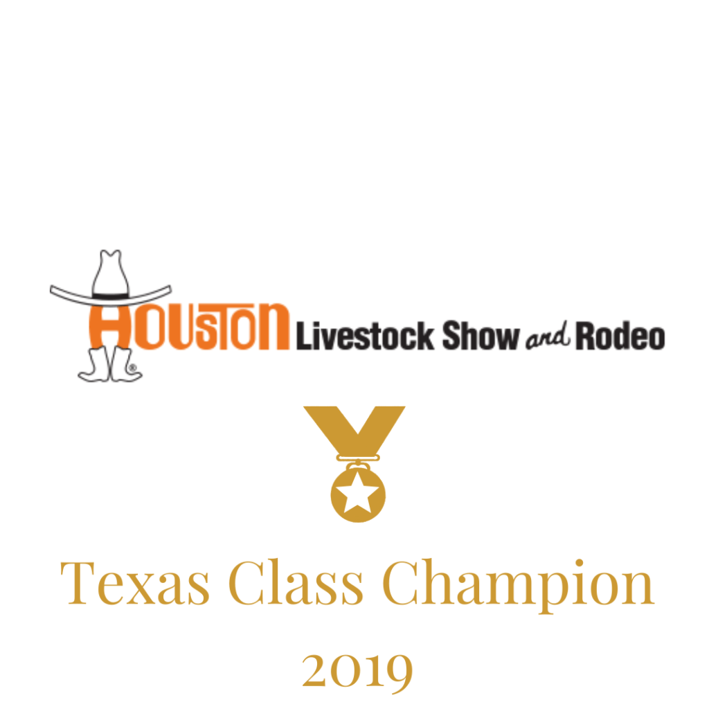 Texas Class Champion 2019