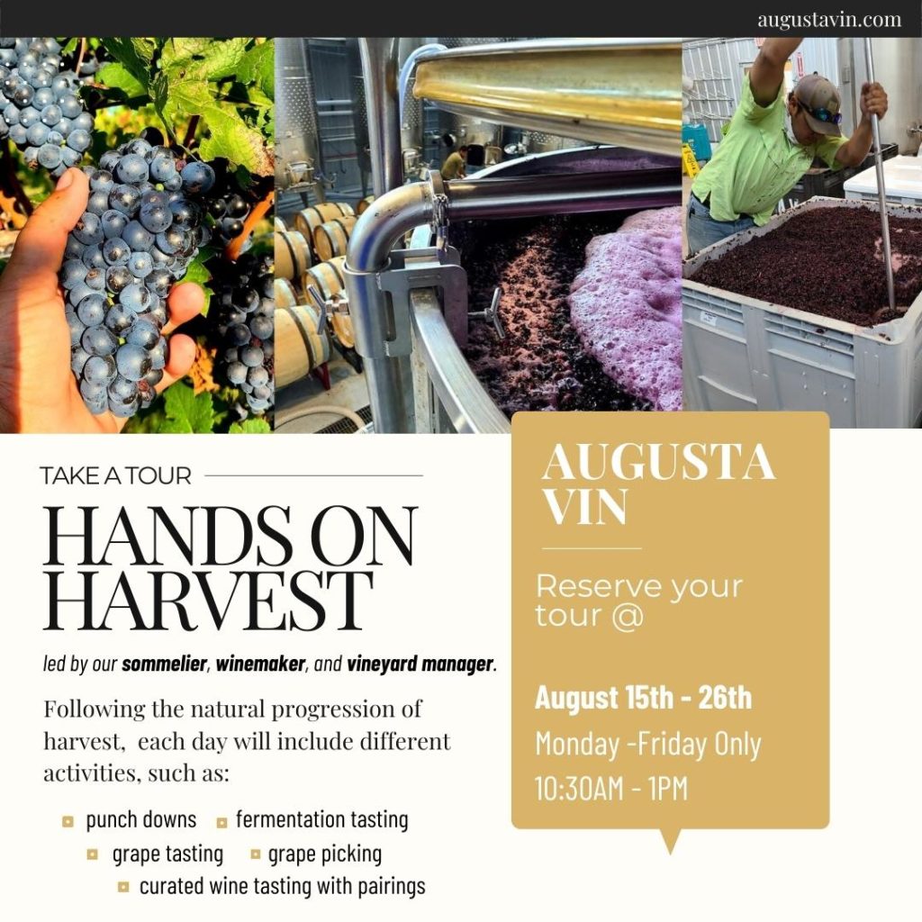 Hands on Harvest Tour - Augusta Vin - Events in Fredericksburg Texas