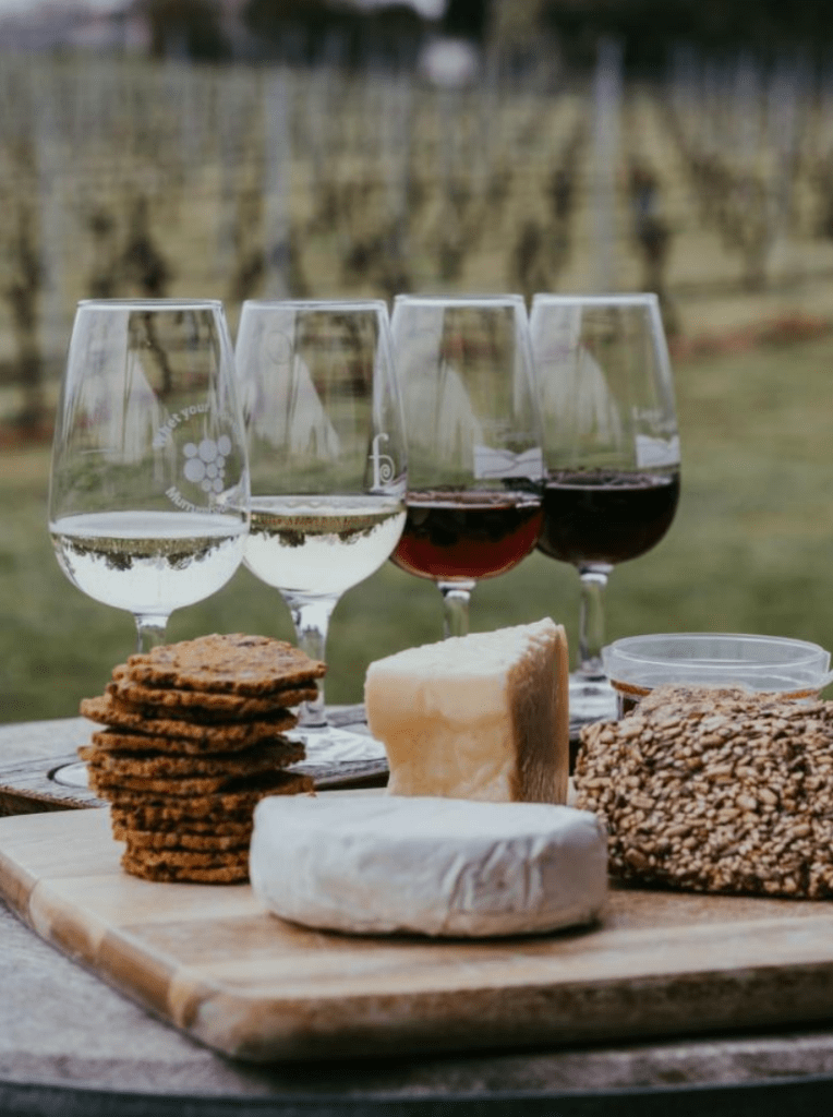 Four glasses of different wines near a cheese board