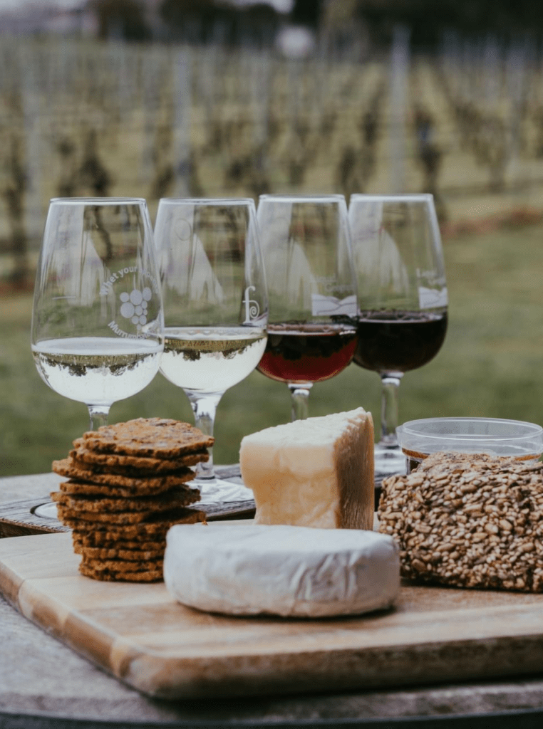 Glasses of red and white wines near a cheese board